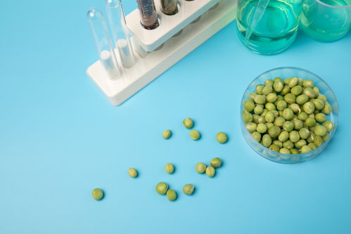 嫩豌豆食品安全農(nóng)業(yè)科技食品培育攝影圖 插畫(huà) 下載至來(lái)源處