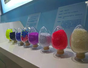 強勢圍觀 帶你揭秘大亞灣經濟發展迅猛的原因