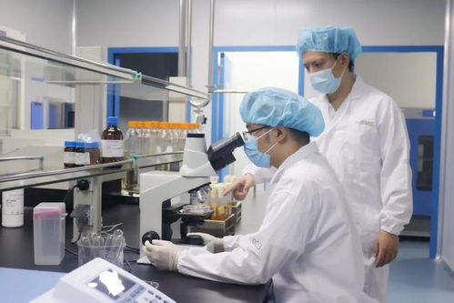 煉就一雙慧眼,寶山環上大科技園如何實現 1 到 10 的更快突破