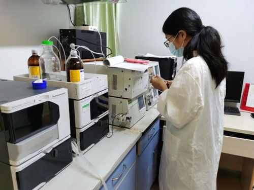 鄉村振興 高要 加強農業科技創新,推動現代農業發展